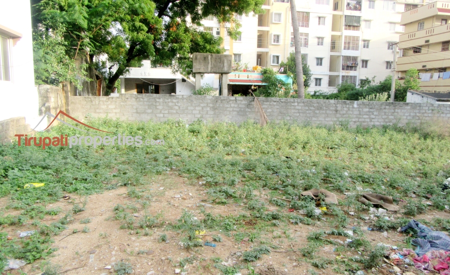 TUDA #Approved 51 Anks North Facing #ReadyforConstruction #PlotforSale Near Siva Jyothi Nagar, #Tirupati